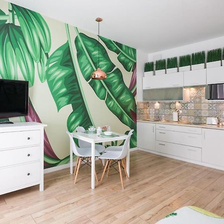 Cozy Modern Studio Green Apartment In Old Town Cracóvia Exterior foto