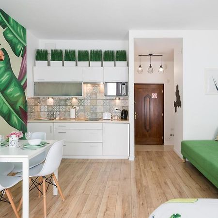 Cozy Modern Studio Green Apartment In Old Town Cracóvia Exterior foto
